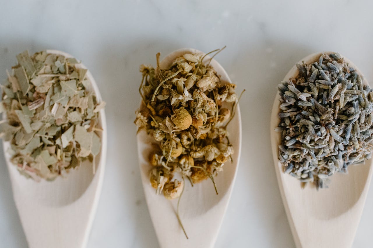 Flat lay of dried herbal remedies in wooden spoons for natural healing.
